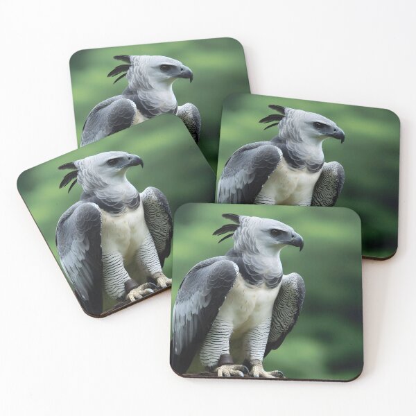 Item preview, Harpy Eagle Art #8 | Harpy Eagle Lovers designed and sold by ksgraphics222.