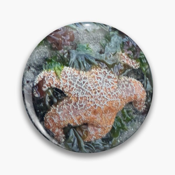 Item preview, Sea Star Strawberry Hill designed and sold by cheyb29.