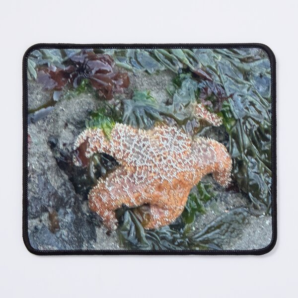 Item preview, Sea Star Strawberry Hill designed and sold by cheyb29.