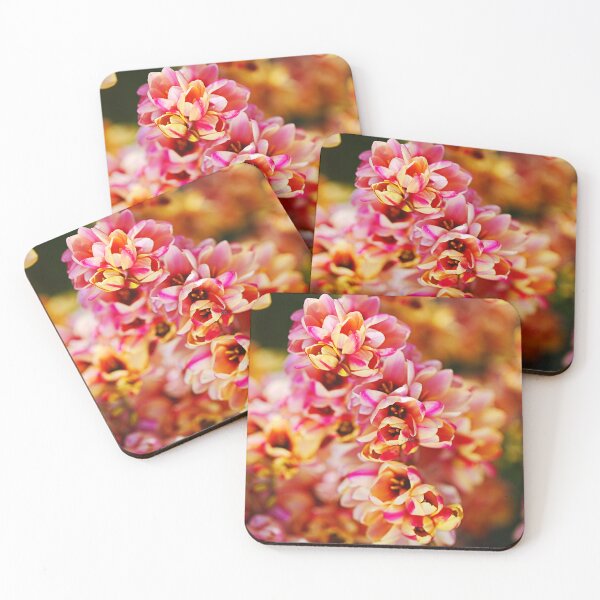 Item preview, Happy African Corn Lilies designed and sold by Joy Watson - Natural Light Photography .