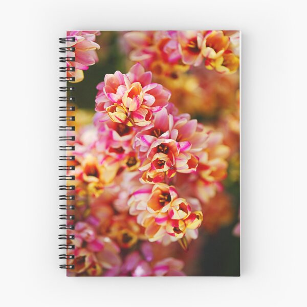 Item preview, Happy African Corn Lilies designed and sold by Joy Watson - Natural Light Photography .