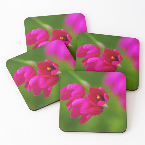 Item preview, Hot And Pink African Corn Lilies designed and sold by Joy Watson - Natural Light Photography .