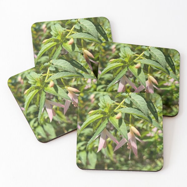 Item preview, Flowers of mystery designed and sold by cheyb29.