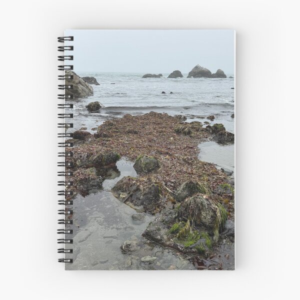 Item preview, Pozas de marea de Wilson Creek designed and sold by cheyb29.