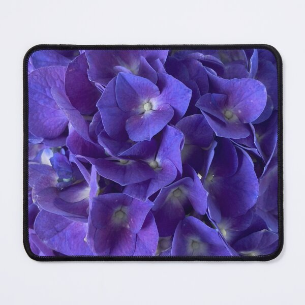 Item preview, Blue Hydrangea Closeup  designed and sold by Amanda1775.