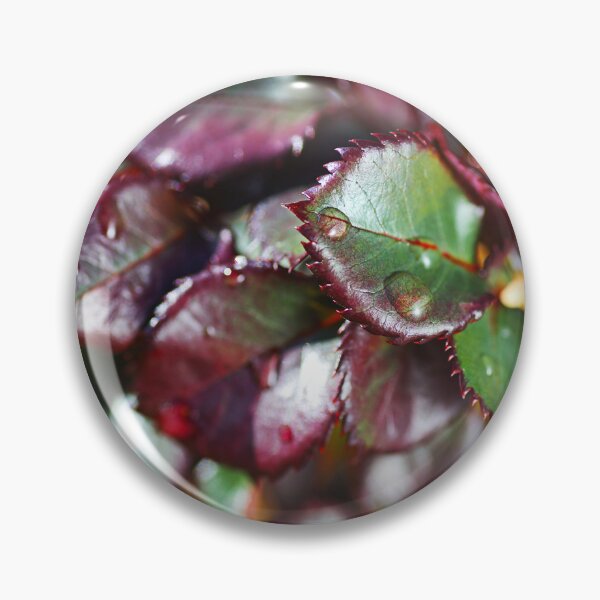 Item preview, Glossy New Rose Leaves designed and sold by Joy Watson - Natural Light Photography .