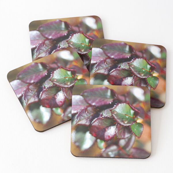 Item preview, Glossy New Rose Leaves designed and sold by Joy Watson - Natural Light Photography .