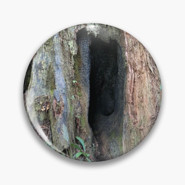 Item preview, Redwood National Park tree designed and sold by cheyb29.