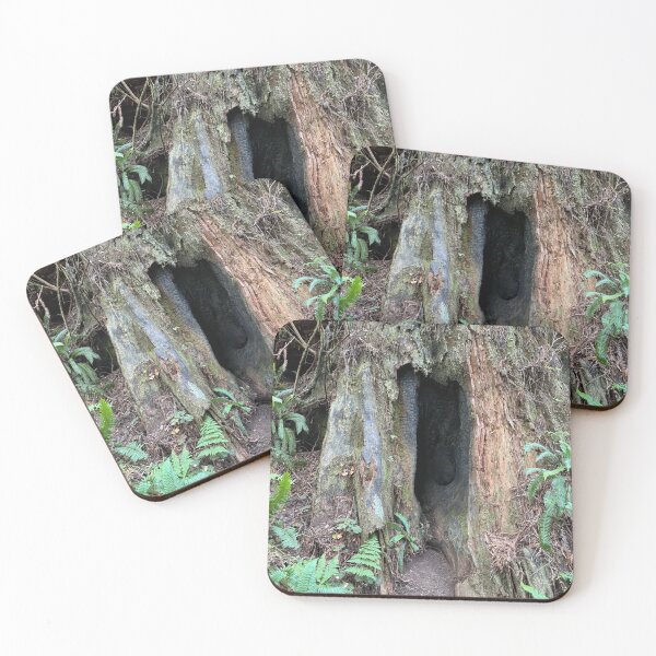 Item preview, Redwood National Park tree designed and sold by cheyb29.