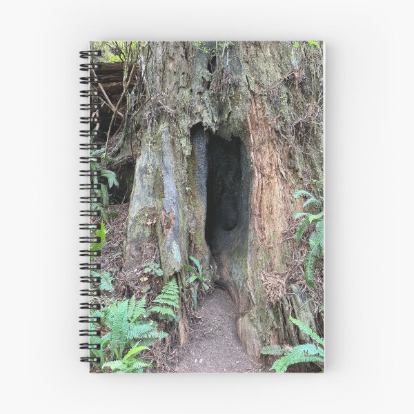 Item preview, Redwood National Park tree designed and sold by cheyb29.