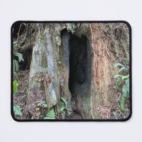 Item preview, Redwood National Park tree designed and sold by cheyb29.