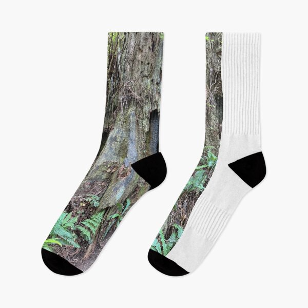 Item preview, Redwood National Park tree designed and sold by cheyb29.