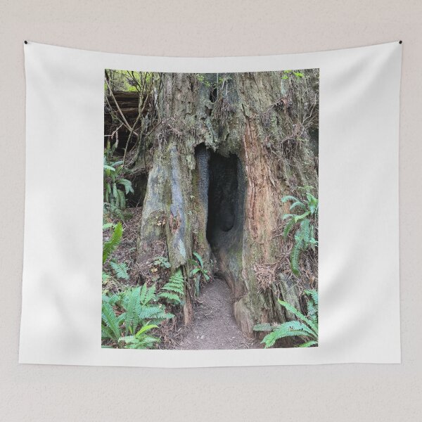 Item preview, Redwood National Park tree designed and sold by cheyb29.