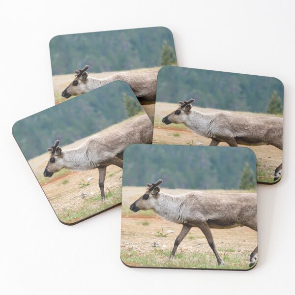 Item preview, The black eyed one. Reindeer designed and sold by Jouko Lehto Photography.