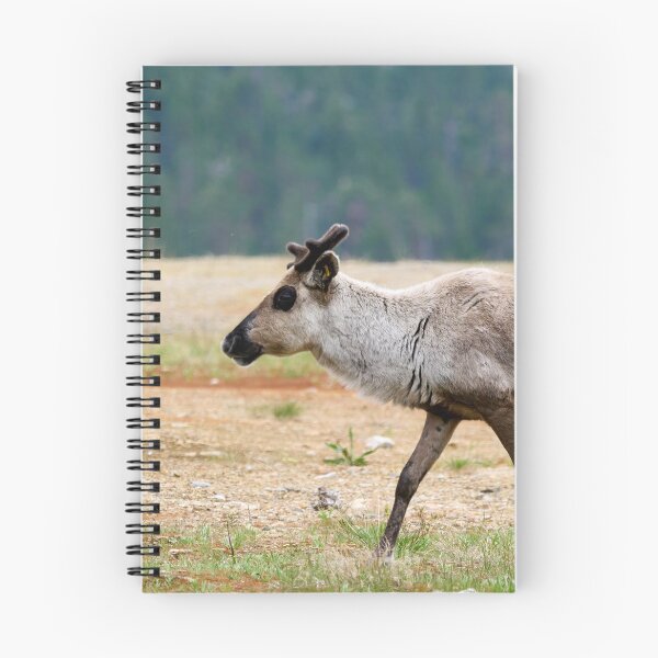 Item preview, The black eyed one. Reindeer designed and sold by Jouko Lehto Photography.