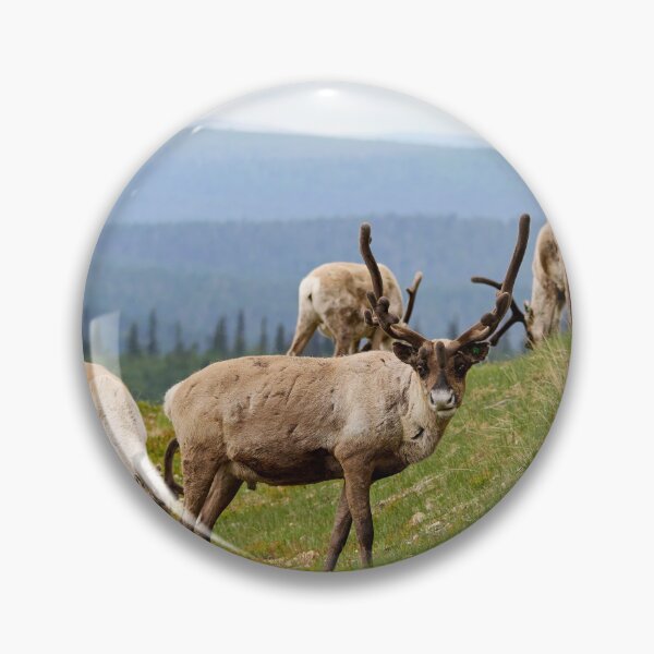 Item preview, Quess who has been out all night. Reindeer designed and sold by Jouko Lehto Photography.
