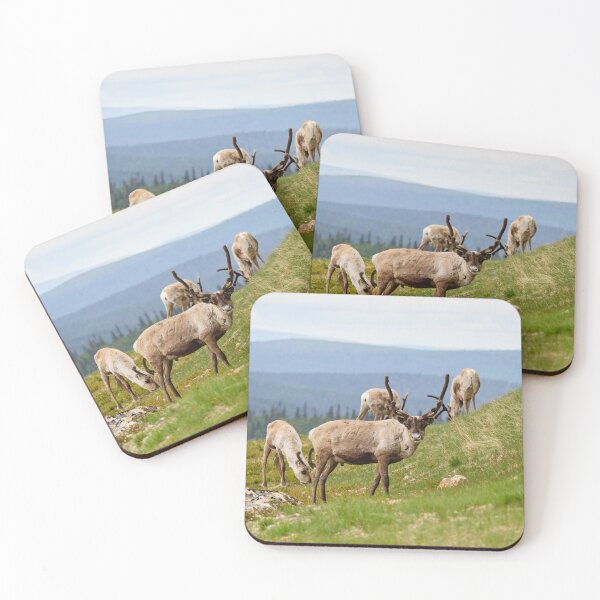 Item preview, Quess who has been out all night. Reindeer designed and sold by Jouko Lehto Photography.