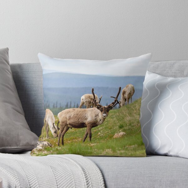 Item preview, Quess who has been out all night. Reindeer designed and sold by Jouko Lehto Photography.