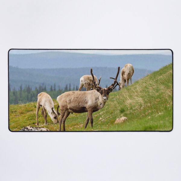 Item preview, Quess who has been out all night. Reindeer designed and sold by Jouko Lehto Photography.