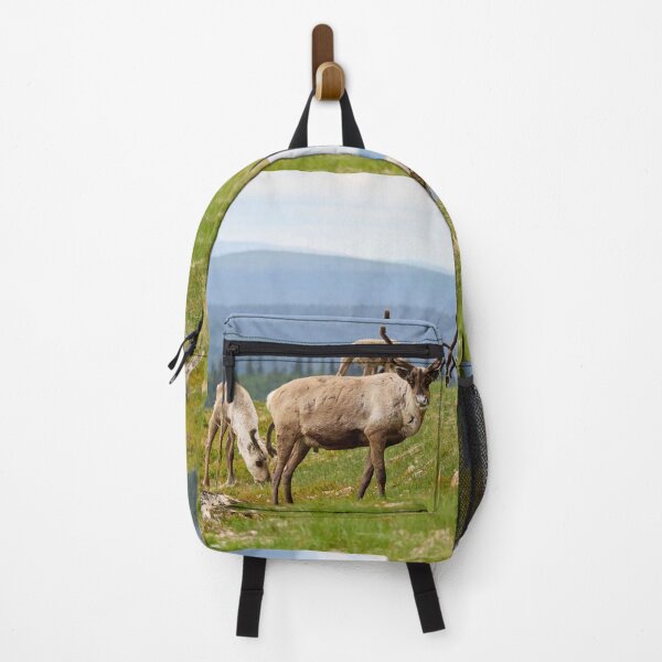 Item preview, Quess who has been out all night. Reindeer designed and sold by Jouko Lehto Photography.