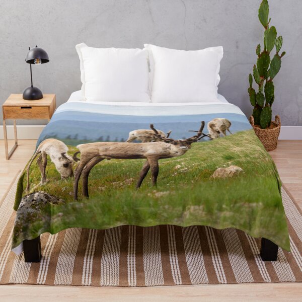 Item preview, Quess who has been out all night. Reindeer designed and sold by Jouko Lehto Photography.