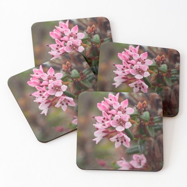 Item preview, Small and pink. Alpine azalea designed and sold by Jouko Lehto Photography.