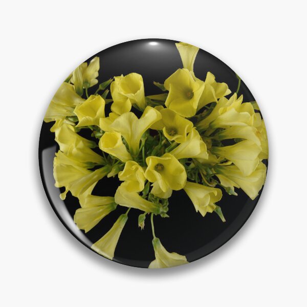 Item preview, Canola designed and sold by Dreamscape Eclectic .