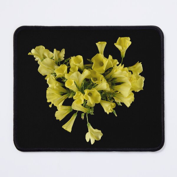 Item preview, Canola designed and sold by Dreamscape Eclectic .