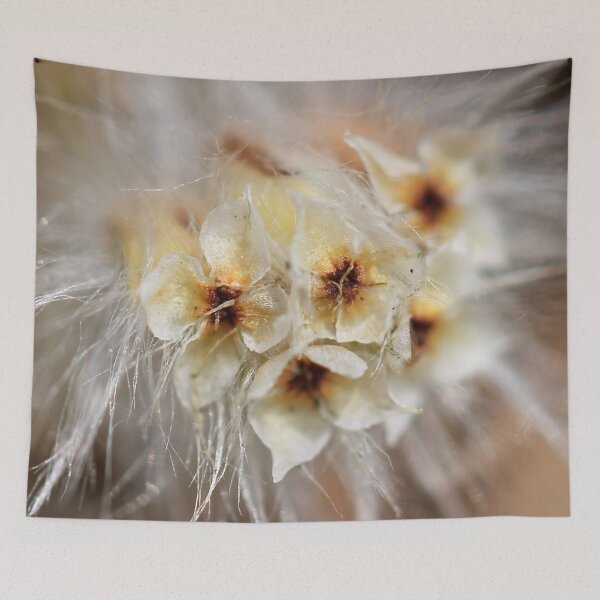 Item preview, Hairy Beauty designed and sold by cuprum.