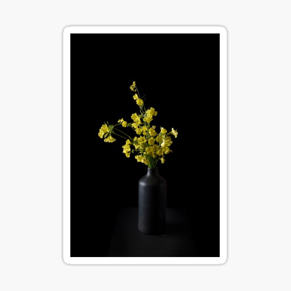 Item preview, Canola designed and sold by silvtom.