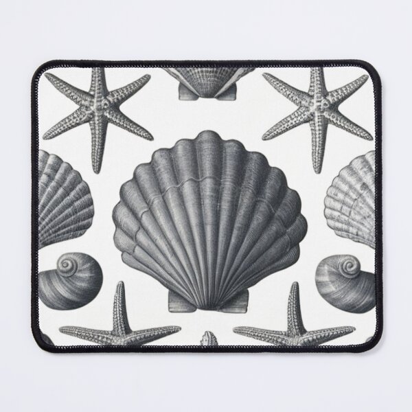 Item preview, Shells on a Shirt designed and sold by AldeaPod.