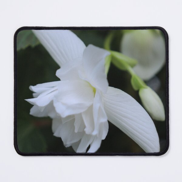 Item preview, Ballerinas designed and sold by ColourMoods.