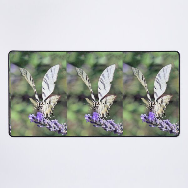 Item preview, r3749/ Finition 2024 - 3 -   " Butterfly "the Flambé - the Magnificent - Papillon " le Flambé - le Magnifique "  Okaio Créations  Olavia-Olao designed and sold by o.okaïo.