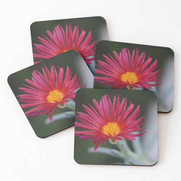 Item preview, Succulent Precious designed and sold by ColourMoods.