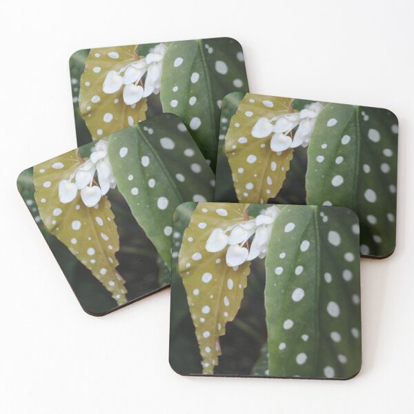 Item preview, Dots World designed and sold by ColourMoods.