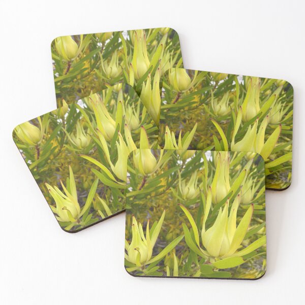 Item preview, Amarillo. lanzas designed and sold by Judy Woodman.