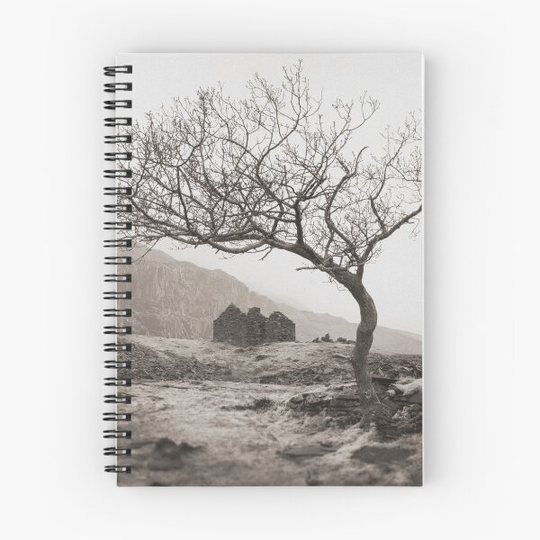 Item preview, Dinorwic Quarry Ruin designed and sold by David Bowman.