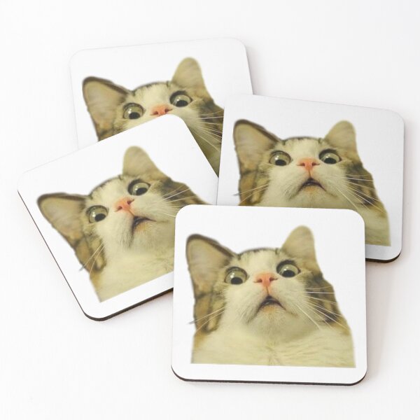 Item preview, Scared cat meme designed and sold by sno0dle.