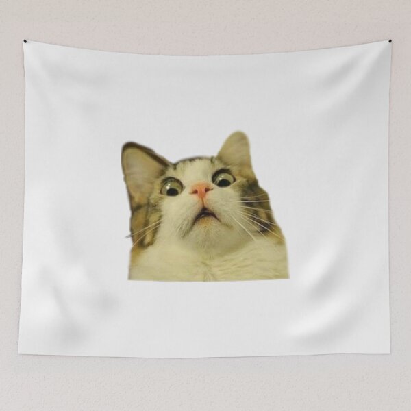 Item preview, Scared cat meme designed and sold by sno0dle.