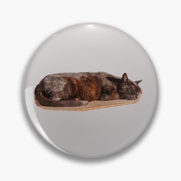 Item preview,  'Let Sleeping Cats Lie' designed and sold by Dalyndigital Photography.