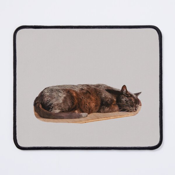 Item preview, 'Let Sleeping Cats Lie' designed and sold by Dalyndigital Photography.
