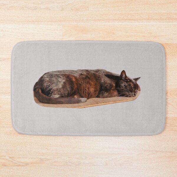 Item preview,  'Let Sleeping Cats Lie' designed and sold by Dalyndigital Photography.