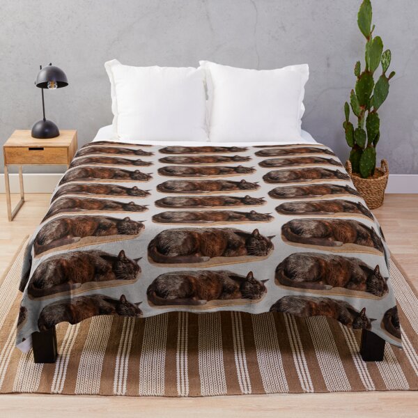 Item preview, 'Let Sleeping Cats Lie' designed and sold by Dalyndigital Photography.