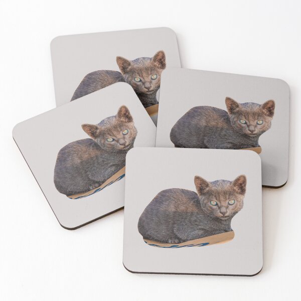 Item preview, Pretty Kitty, but not amused! designed and sold by Dalyndigital Photography.