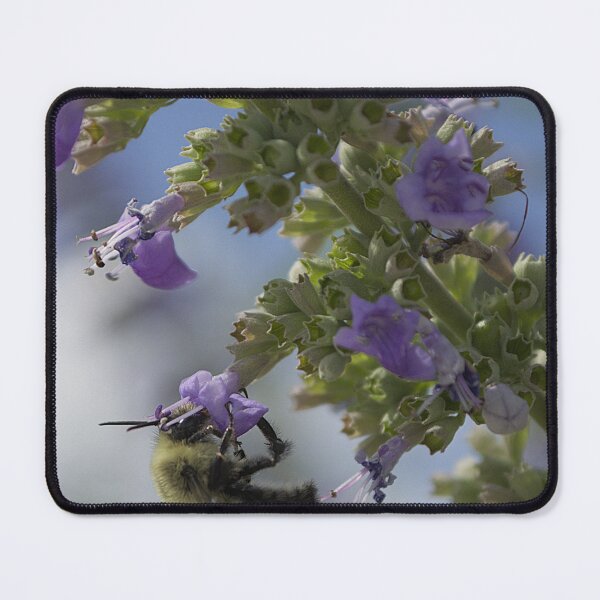 Item preview, Bumblebee and Chaste Tree designed and sold by MercerImages.