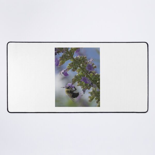 Item preview, Bumblebee and Chaste Tree designed and sold by MercerImages.