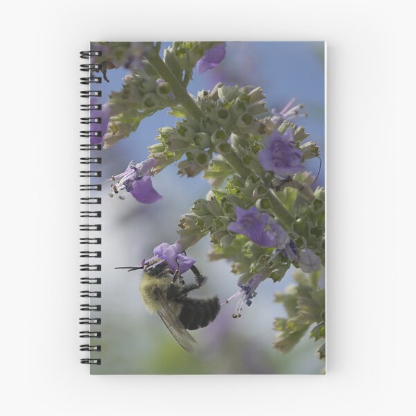 Item preview, Bumblebee and Chaste Tree designed and sold by MercerImages.