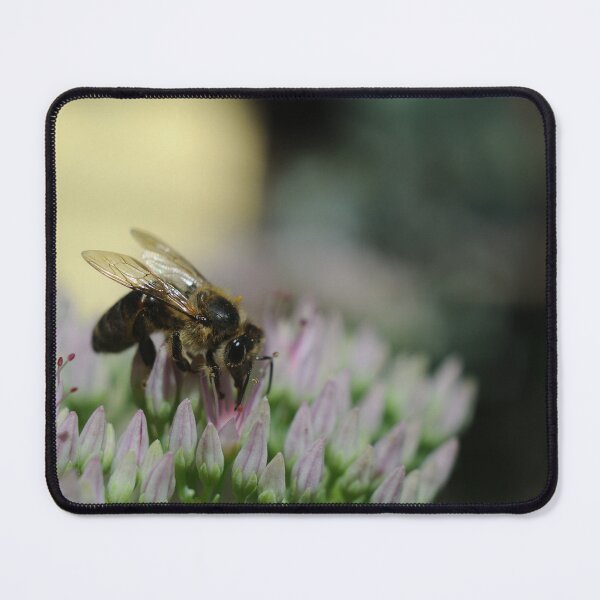 Item preview, Lunch Time designed and sold by ColourMoods.