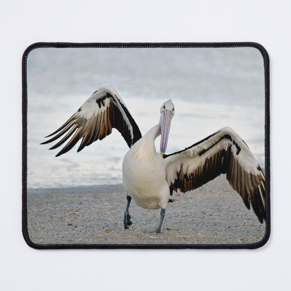 Item preview, Pelican on the Move designed and sold by imaginethis.