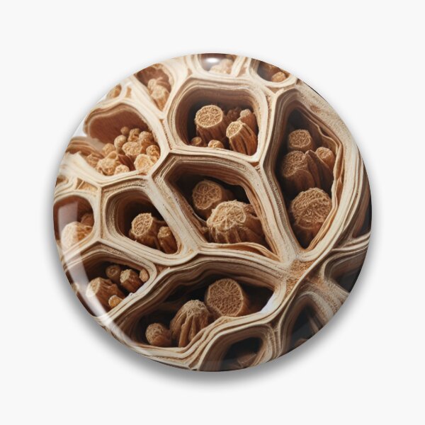 Item preview, "Astragalus: Boost Your Immunity the Natural Way" designed and sold by Kriebelt.